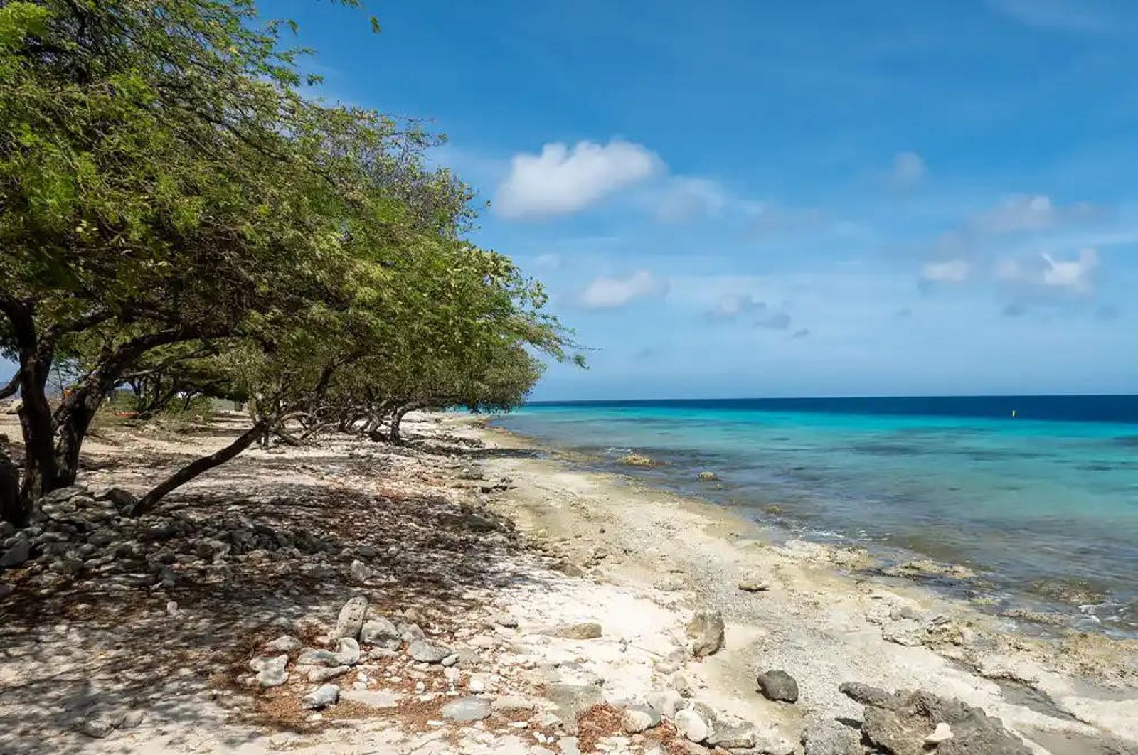 Donkey Beach
