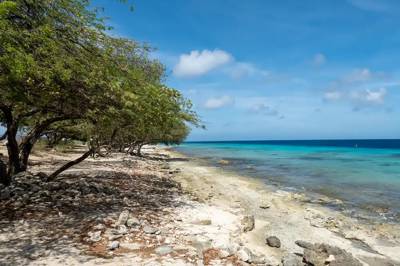 Donkey Beach